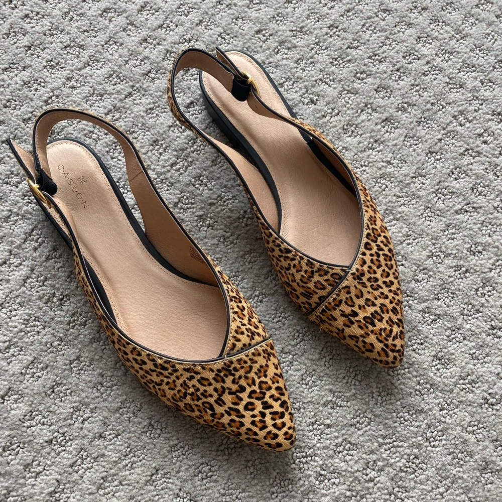 Leopard Flats